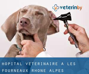 Hôpital vétérinaire à Les Fourneaux (Rhône-Alpes)