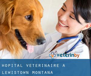 Hôpital vétérinaire à Lewistown (Montana)