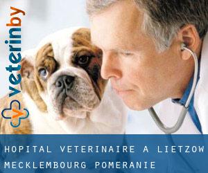 Hôpital vétérinaire à Lietzow (Mecklembourg-Poméranie)