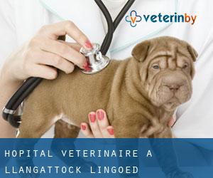 Hôpital vétérinaire à Llangattock Lingoed