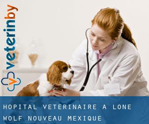 Hôpital vétérinaire à Lone Wolf (Nouveau-Mexique)