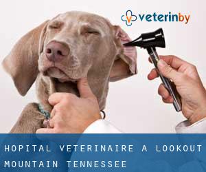 Hôpital vétérinaire à Lookout Mountain (Tennessee)