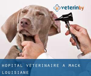 Hôpital vétérinaire à Mack (Louisiane)
