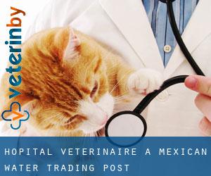 Hôpital vétérinaire à Mexican Water Trading Post