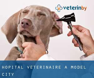 Hôpital vétérinaire à Model City