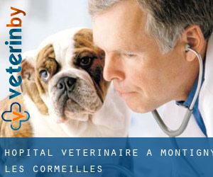 Hôpital vétérinaire à Montigny-lès-Cormeilles