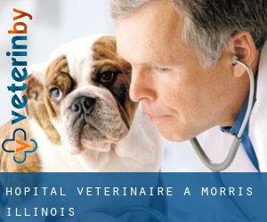 Hôpital vétérinaire à Morris (Illinois)