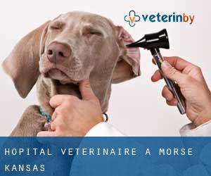 Hôpital vétérinaire à Morse (Kansas)