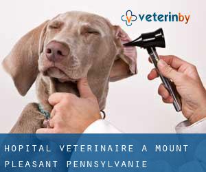 Hôpital vétérinaire à Mount Pleasant (Pennsylvanie)