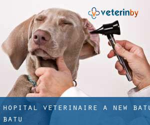 Hôpital vétérinaire à New Batu Batu