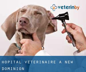 Hôpital vétérinaire à New Dominion