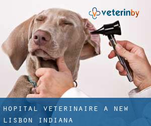 Hôpital vétérinaire à New Lisbon (Indiana)