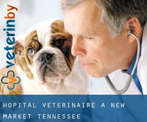 Hôpital vétérinaire à New Market (Tennessee)