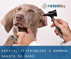 Hôpital vétérinaire à Norman (Dakota du Nord)
