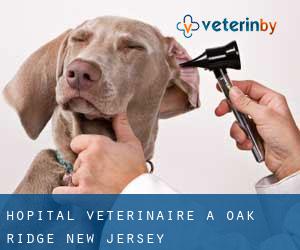 Hôpital vétérinaire à Oak Ridge (New Jersey)
