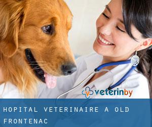 Hôpital vétérinaire à Old Frontenac