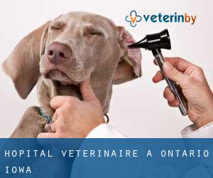Hôpital vétérinaire à Ontario (Iowa)