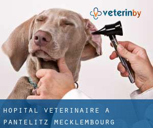 Hôpital vétérinaire à Pantelitz (Mecklembourg-Poméranie)