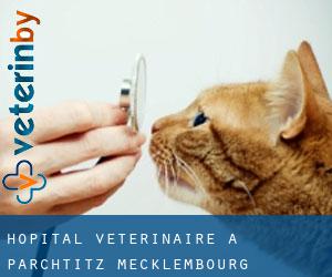 Hôpital vétérinaire à Parchtitz (Mecklembourg-Poméranie)