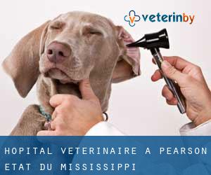 Hôpital vétérinaire à Pearson (État du Mississippi)