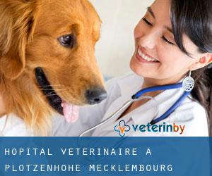 Hôpital vétérinaire à Plötzenhöhe (Mecklembourg-Poméranie)