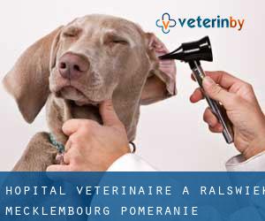 Hôpital vétérinaire à Ralswiek (Mecklembourg-Poméranie)