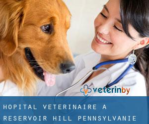 Hôpital vétérinaire à Reservoir Hill (Pennsylvanie)