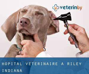 Hôpital vétérinaire à Riley (Indiana)