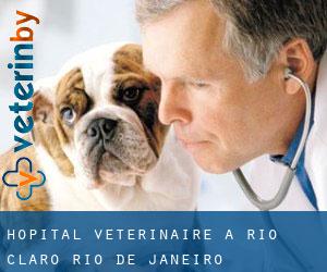 Hôpital vétérinaire à Rio Claro (Rio de Janeiro)