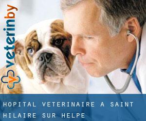 Hôpital vétérinaire à Saint-Hilaire-sur-Helpe
