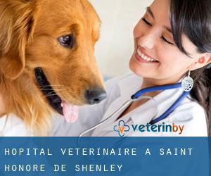 Hôpital vétérinaire à Saint-Honoré-de-Shenley
