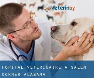 Hôpital vétérinaire à Salem Corner (Alabama)