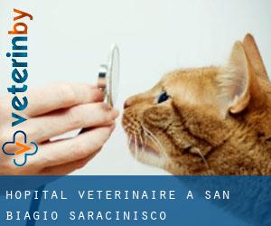 Hôpital vétérinaire à San Biagio Saracinisco