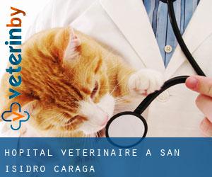 Hôpital vétérinaire à San Isidro (Caraga)