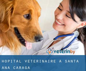 Hôpital vétérinaire à Santa Ana (Caraga)