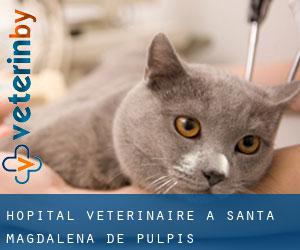 Hôpital vétérinaire à Santa Magdalena de Pulpis