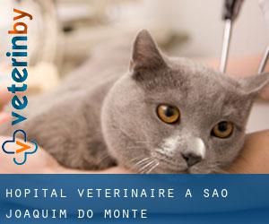Hôpital vétérinaire à São Joaquim do Monte
