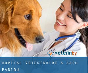 Hôpital vétérinaire à Sapu Padidu