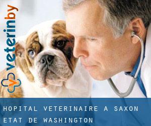 Hôpital vétérinaire à Saxon (État de Washington)