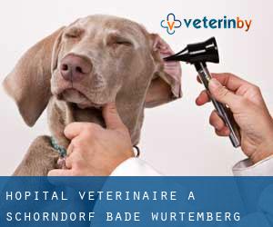 Hôpital vétérinaire à Schorndorf (Bade-Wurtemberg)