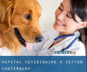 Hôpital vétérinaire à Sefton (Canterbury)