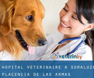 Hôpital vétérinaire à Soraluze / Placencia de las Armas