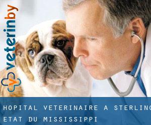 Hôpital vétérinaire à Sterling (État du Mississippi)