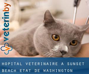 Hôpital vétérinaire à Sunset Beach (État de Washington)