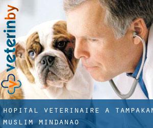 Hôpital vétérinaire à Tampakan (Muslim Mindanao)