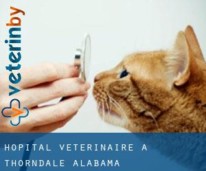 Hôpital vétérinaire à Thorndale (Alabama)