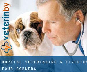 Hôpital vétérinaire à Tiverton Four Corners