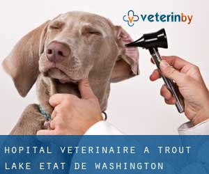 Hôpital vétérinaire à Trout Lake (État de Washington)