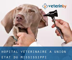 Hôpital vétérinaire à Union (État du Mississippi)