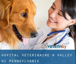 Hôpital vétérinaire à Valley-Hi (Pennsylvanie)